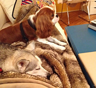 Lovin', Touchin', Squeezin'