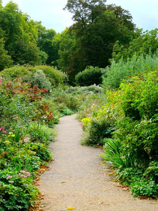 Get Some Peace and Quiet And Happiness!