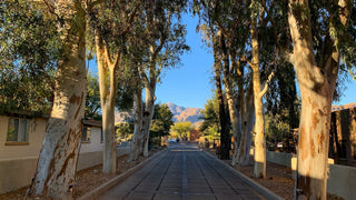 Hotel Review: Canyon Ranch, Tucson