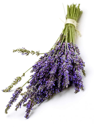 5 Tips to Help You Sleep | When You're Feeling Stressed