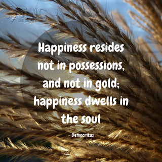 Happiness Dwells in the Soul