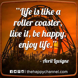 Life is Like a Roller Coaster...