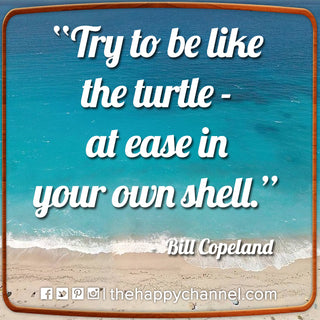 Be Like the Turtle...