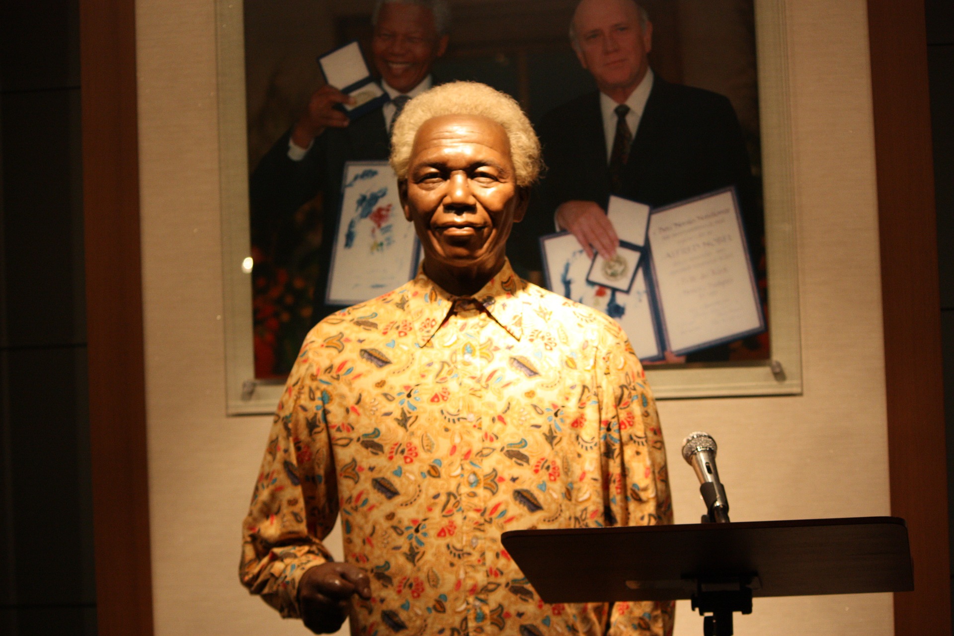 Mandela: An Exemplar of Lifelong Learning