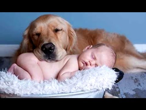 Cats, Dogs & Babies!
